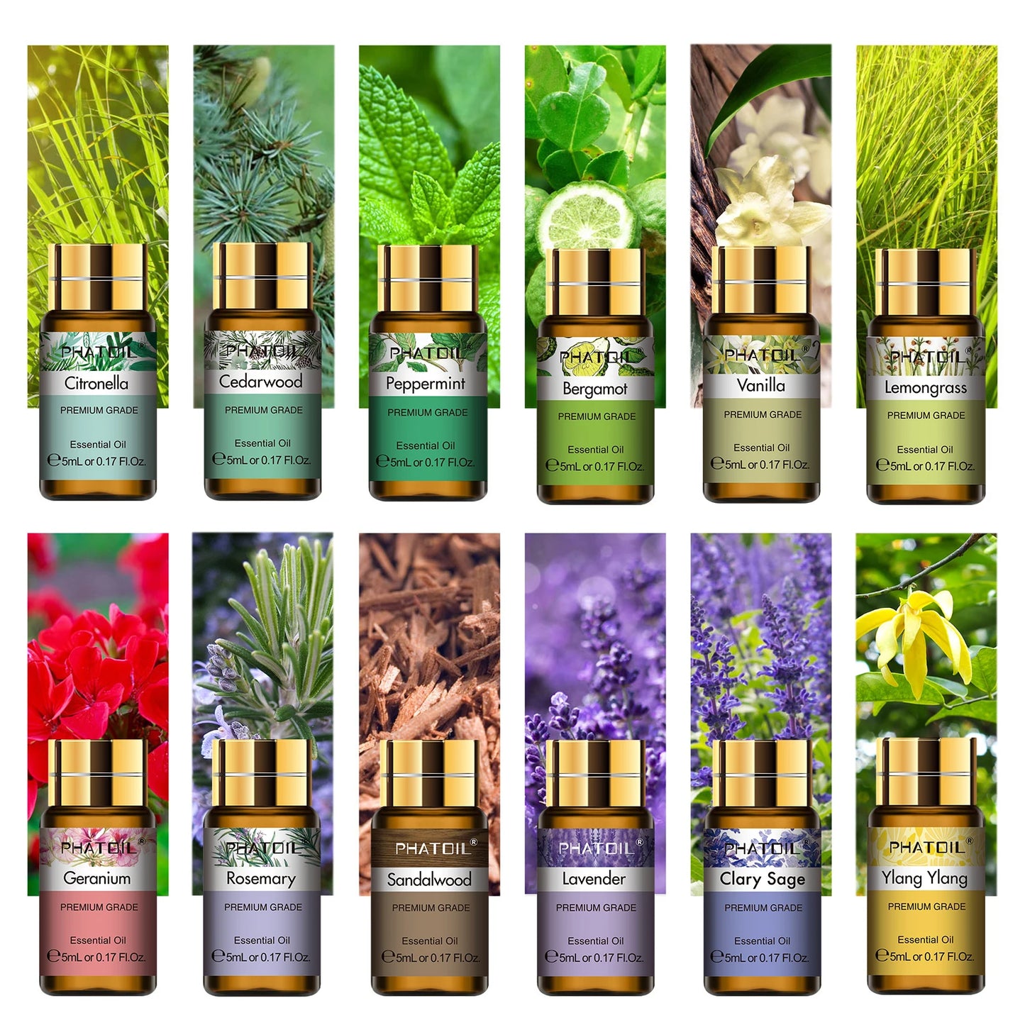 15 piece Essential Oils Set